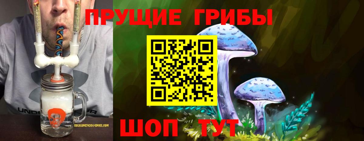 Галлюциногенные грибы Psilocybe Унеча